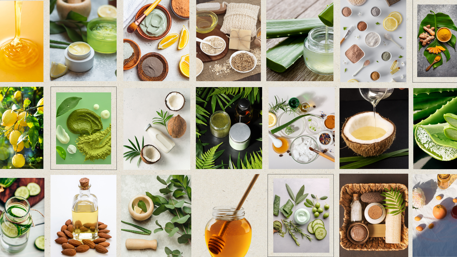 Enhance My Look – natural skincare ingredients like aloe vera, coconut oil, honey, and herbs promoting clean beauty and self-care