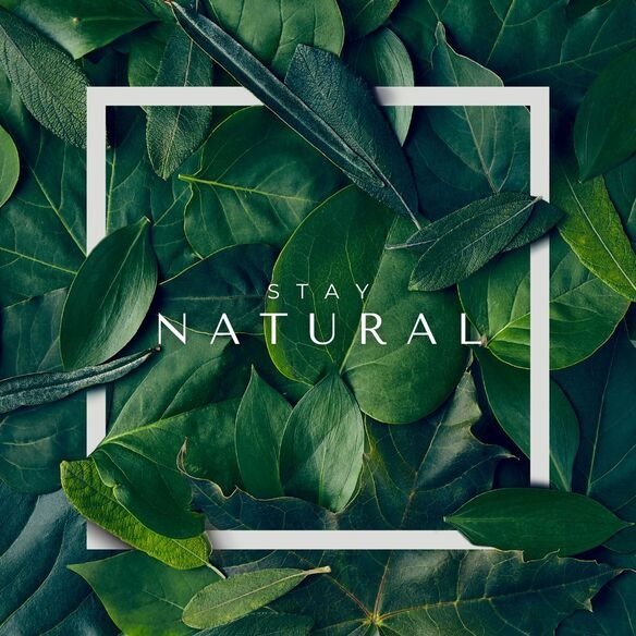 A picture of green leaves with a white square frame in the middle. Warnings of “Stay Natural” are displayed in the center of the frame.