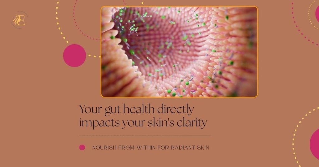 Close-up of gut lining showing the gut and skin connection